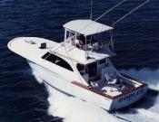 Vessel Image