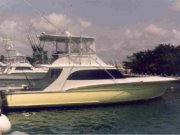 Vessel Image