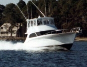 Vessel Image