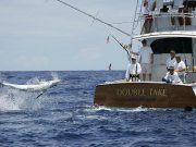 Jarrett Bay 58