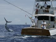 Jarrett Bay 58