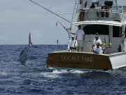 Jarrett Bay 58