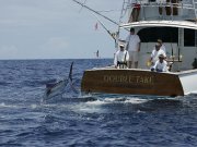 Jarrett Bay 58