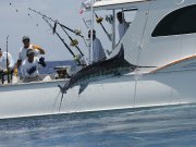 Jarrett Bay 58