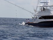 Jarrett Bay 70
