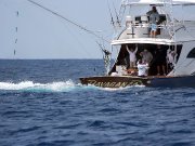 Jarrett Bay 70