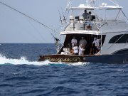 Jarrett Bay 70