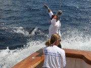 Jarrett Bay 70