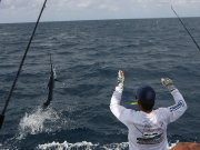 Jarrett Bay 70