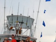 Chainlink wins 2011 Cape Fear Blue Marlin Tournament - photos courtesy CFBMT