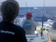 Jarrett Bay 55