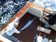 Jarrett Bay 61