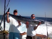 Jarrett Bay 61