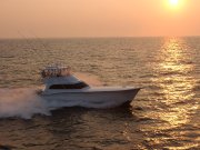 Jarrett Bay 61