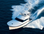 Vessel Image
