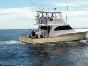 Jarrett Bay 55