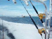 Jarrett Bay 55