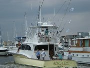 Jarrett Bay 55