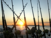 Jarrett Bay 70