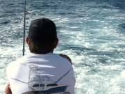 Jarrett Bay 70