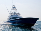 Vessel Image