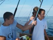 Jarrett Bay 53