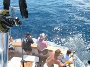 Jarrett Bay 53