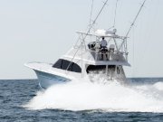 Jarrett Bay 53