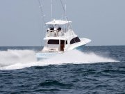 Jarrett Bay 53