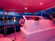Jarrett Bay 53 - Bridge