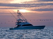 Jarrett Bay 67