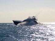 Sea Trial