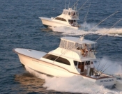 Sensation & Builder's Choice