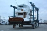 61' Sea Striker 61' Sea Striker