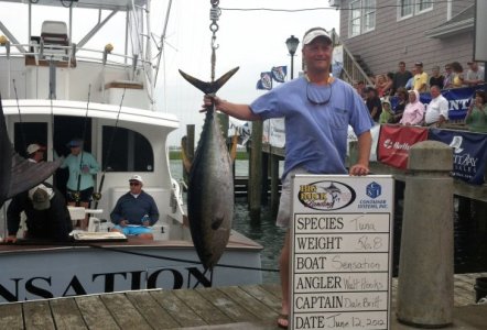 Sensation wins tuna category