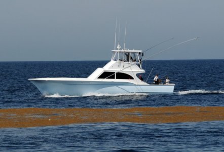 Jarrett Bay 52