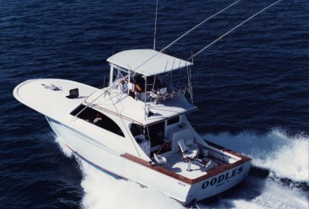 Jarrett Bay 45'