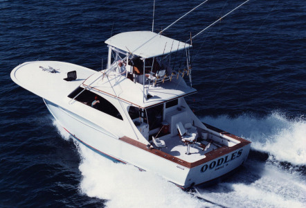 Jarrett Bay 45'