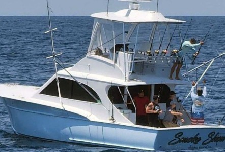 Jarrett Bay 36