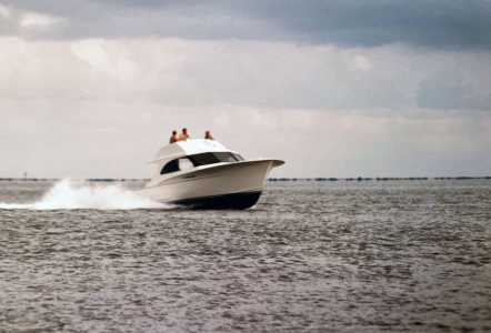 Jarrett Bay 36