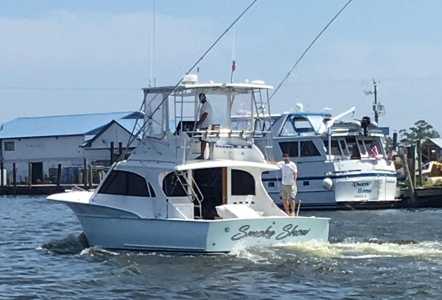 Jarrett Bay 36