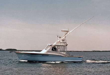 Jarrett Bay 34