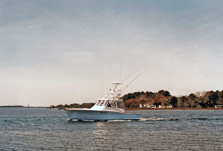 Jarrett Bay 34