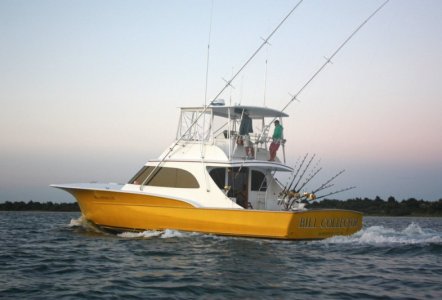 Jarrett Bay 52