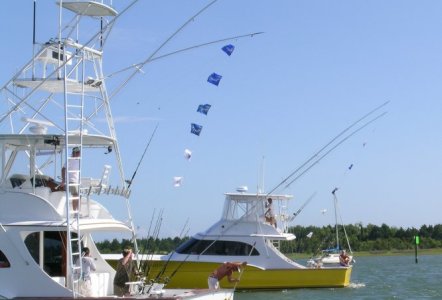 Jarrett Bay 52