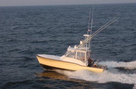 Jarrett Bay 34