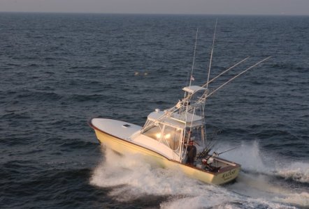 Jarrett Bay 34