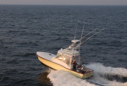 Jarrett Bay 34