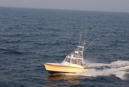 Jarrett Bay 34