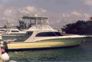 Jarrett Bay 53